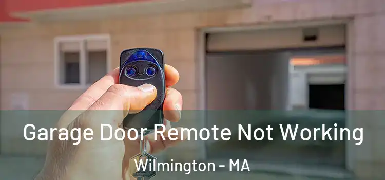 Garage Door Remote Not Working Wilmington - MA