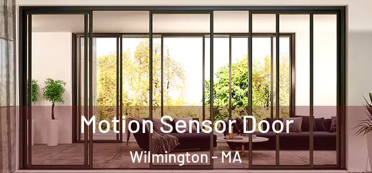  Motion Sensor Door Wilmington - MA